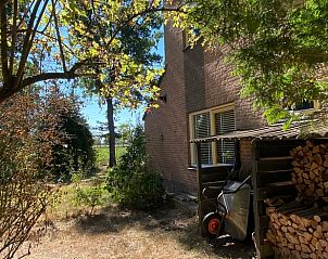 Bosrijke omgeving bij Vakantiehuis in Zelhem, ideaal voor natuurliefhebbers in de Achterhoek, Gelderland.