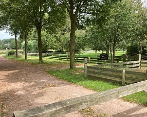 Prachtige natuurlijke omgeving van Vakantiehuis in Zelhem, Achterhoek, Gelderland met wandelpaden.