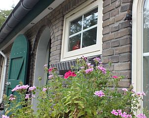 Guest house 291055 - Holiday property Achterhoek - Vakantiehuis in Zelhem