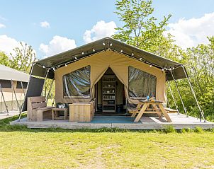 Unterkunft 291058 • Zelthaus Achterhoek • Safaritent 