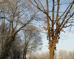 Verblijf 291069 - Vakantiewoning Achterhoek - Vakantiehuis in Zelhem