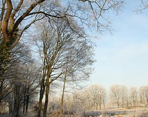 Verblijf 291069 - Vakantiewoning Achterhoek - Vakantiehuis in Zelhem