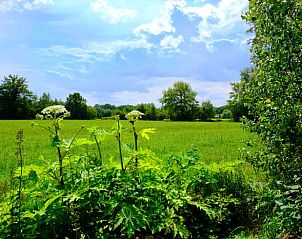 Verblijf 291073 - Vakantiewoning Achterhoek - Vakantiehuisje in Zelhem