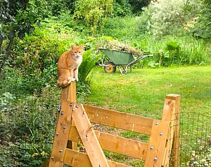 Verblijf 291073 - Vakantiewoning Achterhoek - Vakantiehuisje in Zelhem