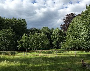 Verblijf 291073 - Vakantiewoning Achterhoek - Vakantiehuisje in Zelhem