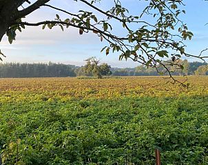 Verblijf 291073 - Vakantiewoning Achterhoek - Vakantiehuisje in Zelhem
