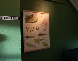 Groene muurdecoratie in Huisje in Zelhem, vakantiehuis in de Achterhoek, Gelderland.