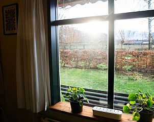 Uitzicht vanuit het raam in Huisje in Zelhem, vakantiehuis in de Achterhoek, Gelderland.