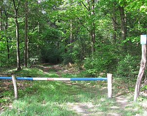 Toegangspad naar Huisje in Zelhem, vakantiehuis in de Achterhoek omgeven door groen in Gelderland.