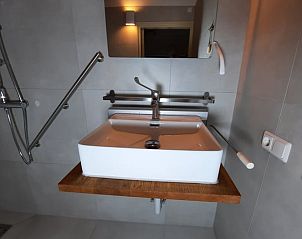 Stijlvolle wastafel in de badkamer van Vakantiehuisje in Zelhem, Achterhoek, Gelderland.