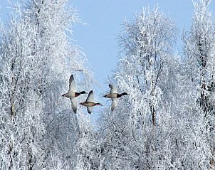 Vakantiehuisje in Zelhem met uitzicht op de winterse natuur van de Achterhoek, Gelderland.