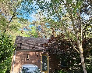 Guest house 291089 - Holiday property Achterhoek - Huisjebloemenhart