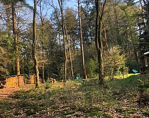 Guest house 291105 - Holiday property Achterhoek - Vakantiehuisje in Epse