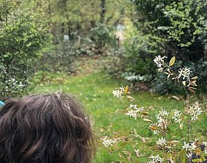 Guest house 291105 - Holiday property Achterhoek - Vakantiehuisje in Epse