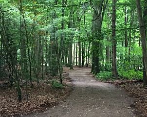 Guest house 291108 - Holiday property Achterhoek - Vakantiehuisje in Epse