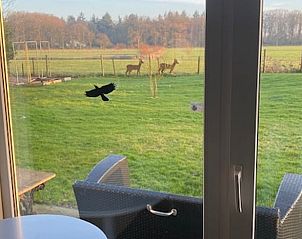 Guest house 291111 - Holiday property Achterhoek - Vakantiehuisje in Epse