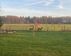 Guest house 291111 - Holiday property Achterhoek - Vakantiehuisje in Epse