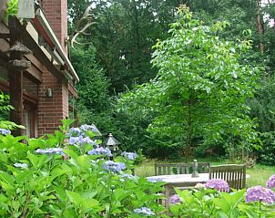 Guest house 291115 - Holiday property Achterhoek - Huisje in Epse