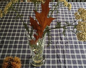 Guest house 291115 - Holiday property Achterhoek - Huisje in Epse