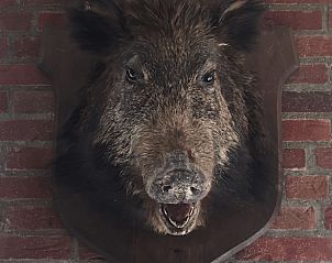 Guest house 291115 - Holiday property Achterhoek - Huisje in Epse