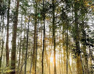 Guest house 291118 - Holiday property Achterhoek - Vakantiehuisje in Epse