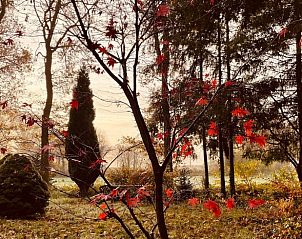 Guest house 291118 - Holiday property Achterhoek - Vakantiehuisje in Epse