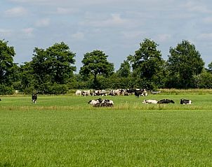 Guest house 291211 - Holiday property Achterhoek - Vakantiehuis in Ruurlo