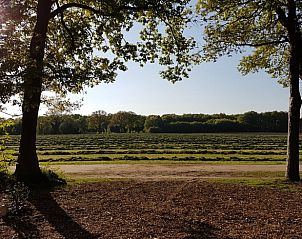 Guest house 291213 - Holiday property Achterhoek - Vakantiehuis in Ruurlo