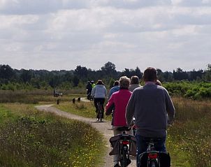 Guest house 291213 - Holiday property Achterhoek - Vakantiehuis in Ruurlo