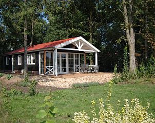 Unterkunft 291216 • Ferienhaus Achterhoek • Huisje in Ruurlo 