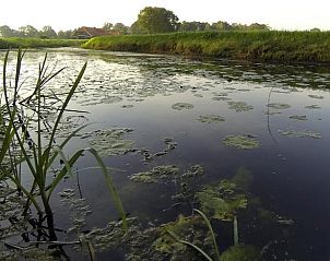 Guest house 291222 - Holiday property Achterhoek - Vakantiehuisje in Ruurlo