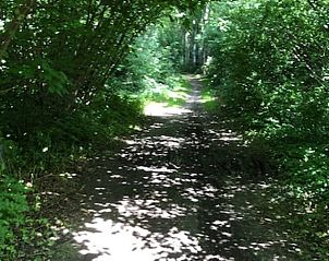 Guest house 291223 - Holiday property Achterhoek - Vakantiehuis in Ruurlo