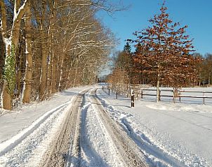 Unterkunft 291233 - Ferienhaus Achterhoek - Huisje in Ruurlo