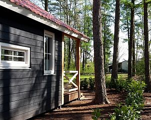 Unterkunft 291233 - Ferienhaus Achterhoek - Huisje in Ruurlo