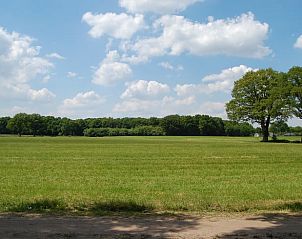 Unterkunft 291233 - Ferienhaus Achterhoek - Huisje in Ruurlo