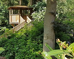 Unterkunft 291233 - Ferienhaus Achterhoek - Huisje in Ruurlo