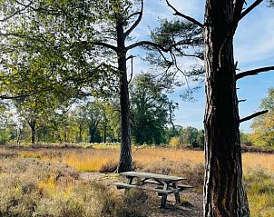 Verblijf 291236 - Vakantiewoning Achterhoek - Huisje in Ruurlo