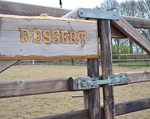 Guest house 291239 - Holiday property Achterhoek - Vakantiehuisje in Ruurlo