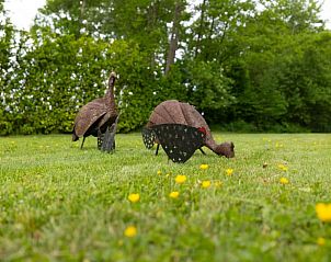 Verblijf 291240 - Vakantiewoning Achterhoek - Vakantiehuisje in Ruurlo