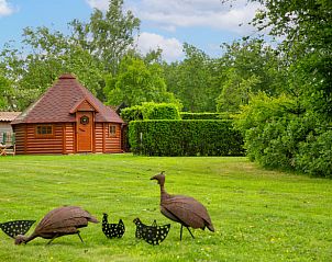 Verblijf 291240 - Vakantiewoning Achterhoek - Vakantiehuisje in Ruurlo