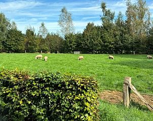 Guest house 291254 - Holiday property Achterhoek - Huisje in Ruurlo