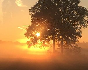 Guest house 291256 - Holiday property Achterhoek - Huisje in Ruurlo