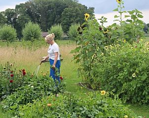 Guest house 291305 - Holiday property Achterhoek - Huisje in Westendorp