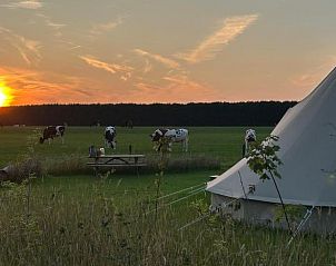 Guest house 291305 - Holiday property Achterhoek - Huisje in Westendorp