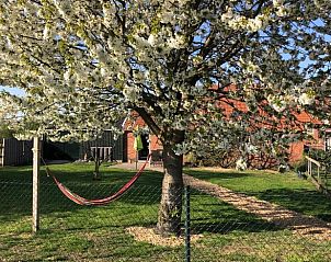 Flowering tree and hammock at Holiday home in Varsseveld, surrounded by nature in Gelderland.