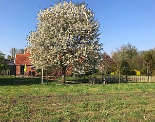 Expansive garden with blossoms at Holiday home in Varsseveld, quietly located in Achterhoek, Gelderland.
