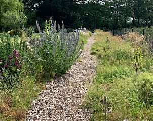 Guest house 291406 - Holiday property Achterhoek - Vakantiehuis in Varsseveld