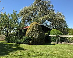 Guest house 291406 - Holiday property Achterhoek - Vakantiehuis in Varsseveld