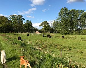 Guest house 291406 - Holiday property Achterhoek - Vakantiehuis in Varsseveld