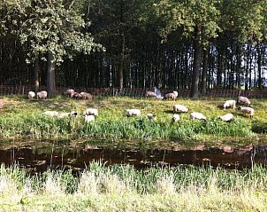 Guest house 291406 - Holiday property Achterhoek - Vakantiehuis in Varsseveld